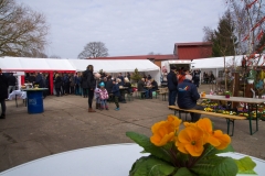 Osterausstellung Gartenbau Wiencke